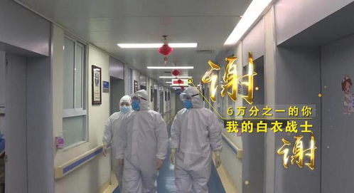 “守護天使”公益律師武漢上崗，為醫護筑起法律后盾